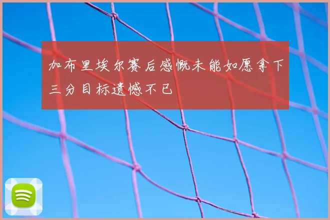 加布里埃尔赛后感慨未能如愿拿下三分目标遗憾不已