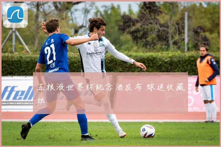五粮液世界杯纪念酒发布 球迷收藏热