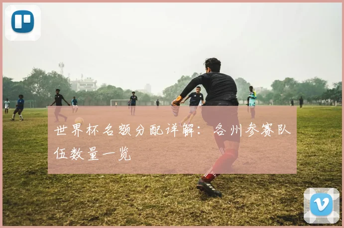 世界杯名额分配详解：各州参赛队伍数量一览