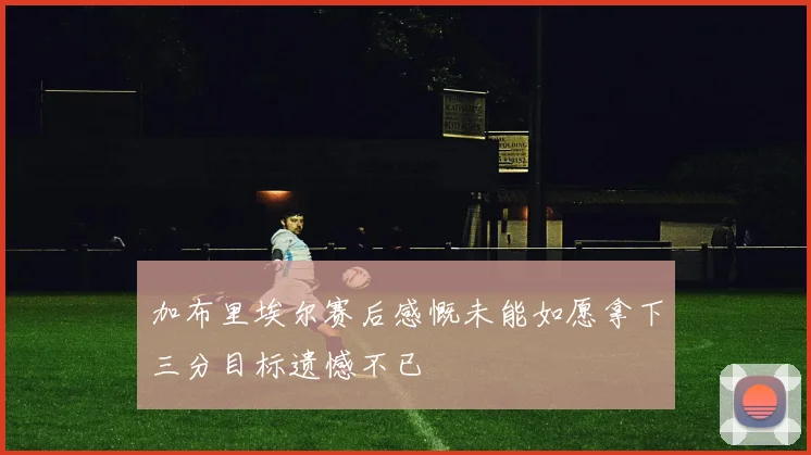 加布里埃尔赛后感慨未能如愿拿下三分目标遗憾不已
