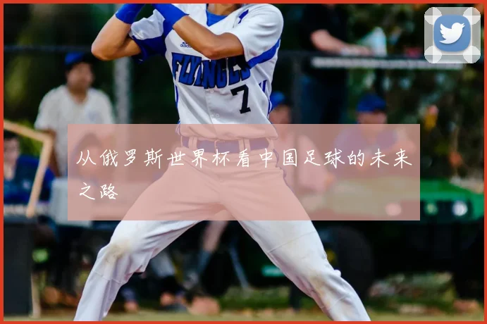 从俄罗斯世界杯看中国足球的未来之路