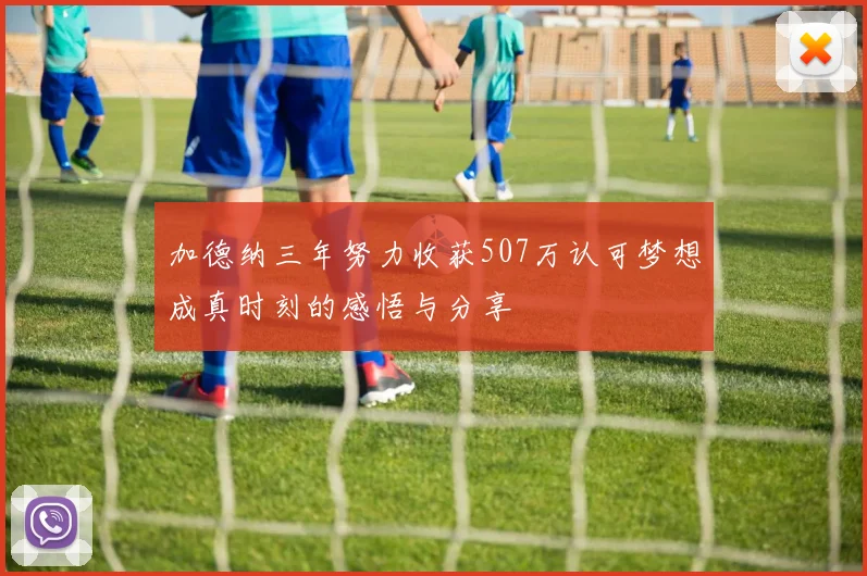 加德纳三年努力收获507万认可梦想成真时刻的感悟与分享