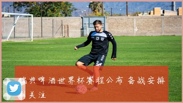 瑞典啤酒世界杯赛程公布 备战安排引关注