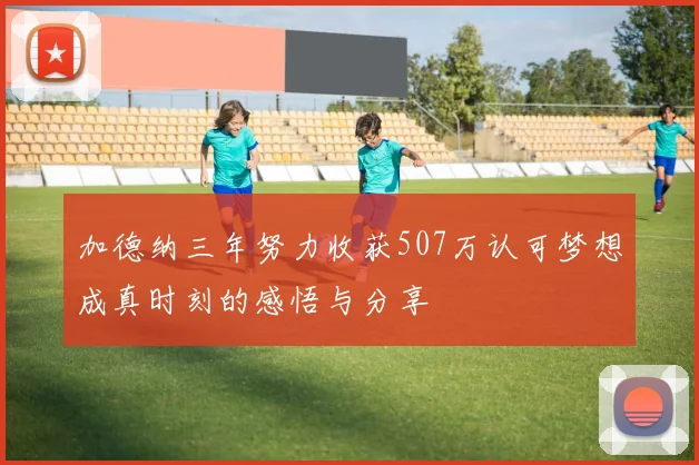 加德纳三年努力收获507万认可梦想成真时刻的感悟与分享