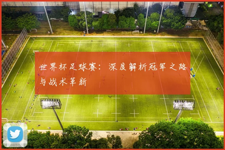 世界杯足球赛：深度解析冠军之路与战术革新