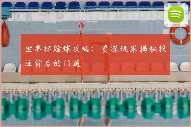 世界杯赌球攻略:资深玩家揭秘投注背后的门道