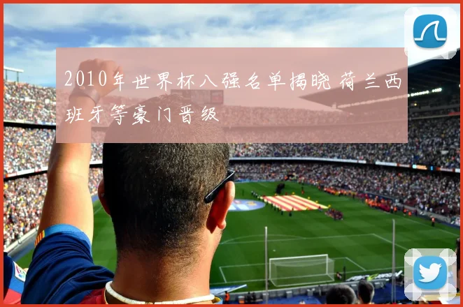 2010年世界杯八强名单揭晓 荷兰西班牙等豪门晋级