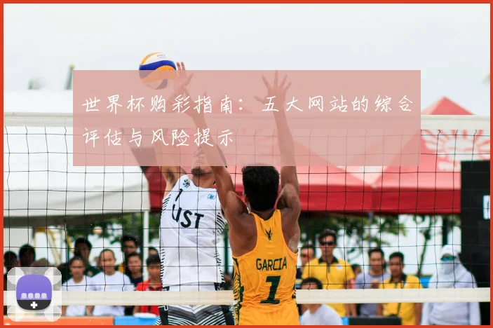 世界杯购彩指南：五大网站的综合评估与风险提示