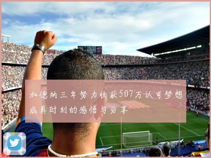 加德纳三年努力收获507万认可梦想成真时刻的感悟与分享