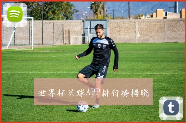 世界杯买球APP排行榜揭晓