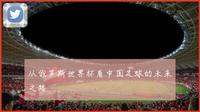 从俄罗斯世界杯看中国足球的未来之路