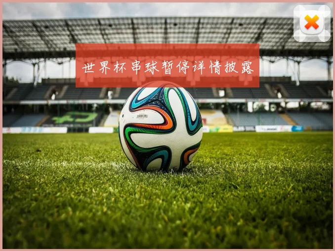 世界杯串球暂停详情披露