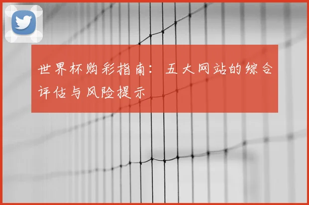 世界杯购彩指南：五大网站的综合评估与风险提示