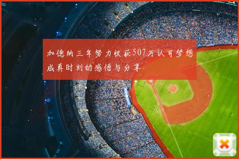 加德纳三年努力收获507万认可梦想成真时刻的感悟与分享