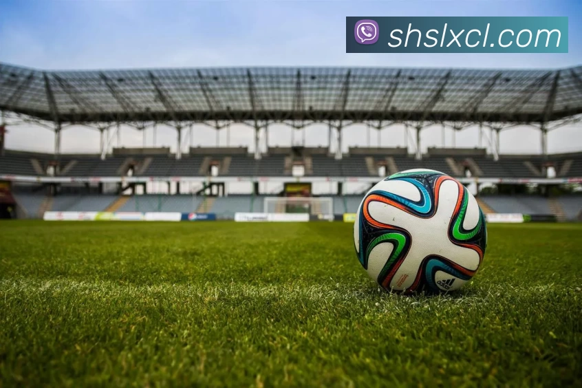 辅助工具 辅助工具